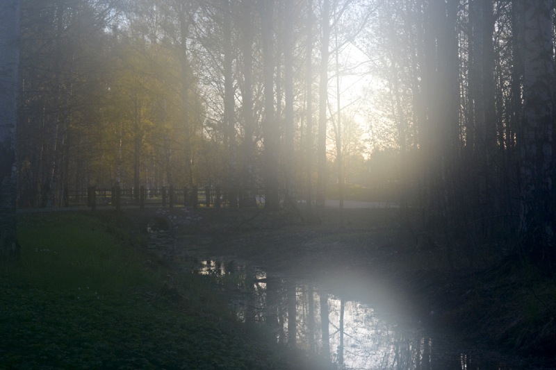 Kaunis kontula3